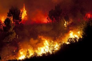 Experts are predicting the 2021 wildfire season to be a devastating one. Find out how to prepare from the Los Angeles attorneys at McNicholas & McNicholas.